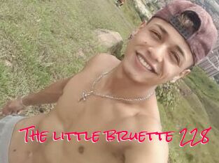 The_little_bruette_228