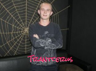 Trantcerus