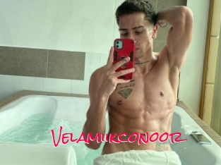 Velamiikconoor