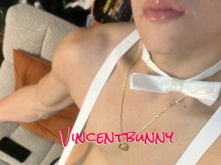 Vincentbunny