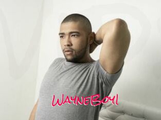 WayneBoyI