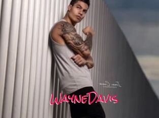 WayneDavis