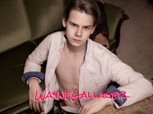 WayneGallager