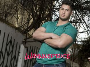 Waynneprice