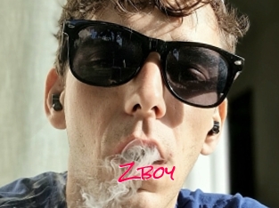 Zboy